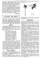 giornale/CFI0374941/1933-1934/unico/00000651