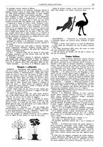 giornale/CFI0374941/1933-1934/unico/00000735