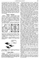 giornale/CFI0374941/1933-1934/unico/00000831