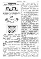 giornale/CFI0374941/1933-1934/unico/00000911