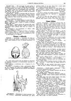 giornale/CFI0374941/1933-1934/unico/00000991