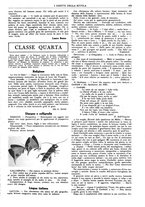 giornale/CFI0374941/1933-1934/unico/00001083