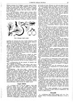 giornale/CFI0374941/1935-1936/unico/00000507