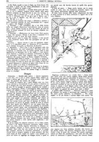 giornale/CFI0374941/1935-1936/unico/00000890