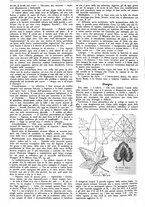 giornale/CFI0374941/1935-1936/unico/00000936