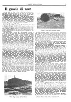 giornale/CFI0374941/1940-1941/unico/00000609