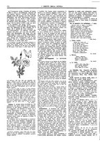 giornale/CFI0374941/1940-1941/unico/00000974