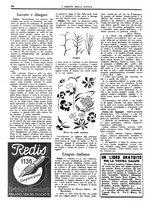 giornale/CFI0374941/1940-1941/unico/00001132