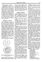 giornale/CFI0374941/1940-1941/unico/00001151