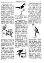 giornale/CFI0374941/1940-1941/unico/00001175