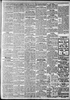 giornale/CFI0375227/1902/Novembre/31