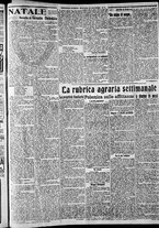 giornale/CFI0375227/1917/Dicembre/86