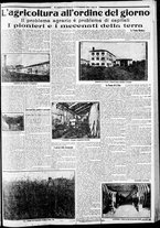 giornale/CFI0375227/1923/Novembre/43