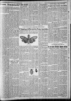 giornale/CFI0375227/1930/Settembre/115
