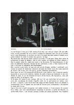 giornale/CFI0375415/1932/unico/00000044