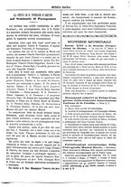 giornale/CFI0375636/1881-1885/unico/00000031