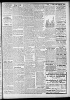 giornale/CFI0375759/1905/Agosto/15