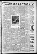 giornale/CFI0375759/1934/Novembre/182