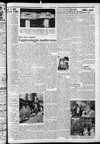 giornale/CFI0375759/1934/Novembre/43