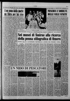giornale/CFI0375871/1953/n.279/003