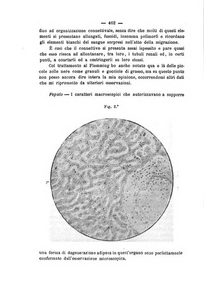 La nuova rivista clinico-terapeutica