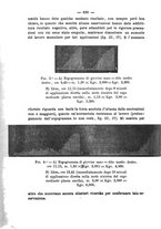 giornale/CFI0385245/1907/unico/00000698