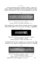 giornale/CFI0385245/1909/unico/00000527