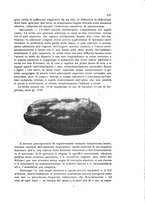 giornale/CFI0388512/1926/unico/00000249