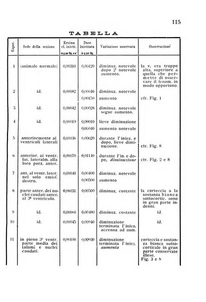 Studi sassaresi