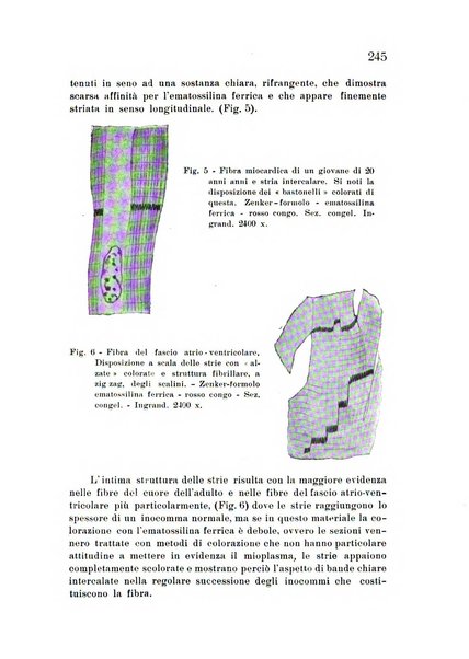 Studi sassaresi