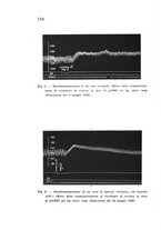 giornale/CFI0388512/1933/unico/00000126