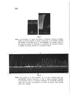 giornale/CFI0388512/1933/unico/00000210