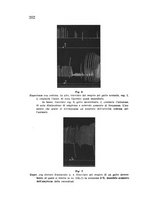 giornale/CFI0388512/1933/unico/00000212