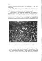 giornale/CFI0388512/1934/unico/00000186