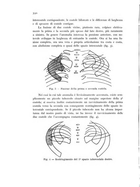 Studi sassaresi