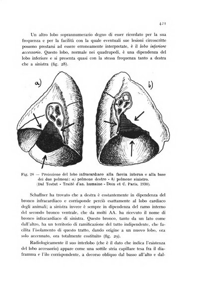 Studi sassaresi