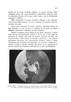 giornale/CFI0388512/1935/unico/00000497