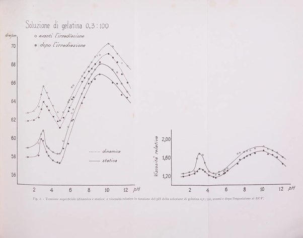 Studi sassaresi