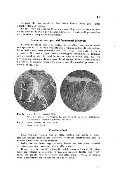 Studi sassaresi