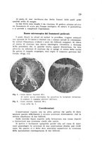giornale/CFI0388512/1937/unico/00000027