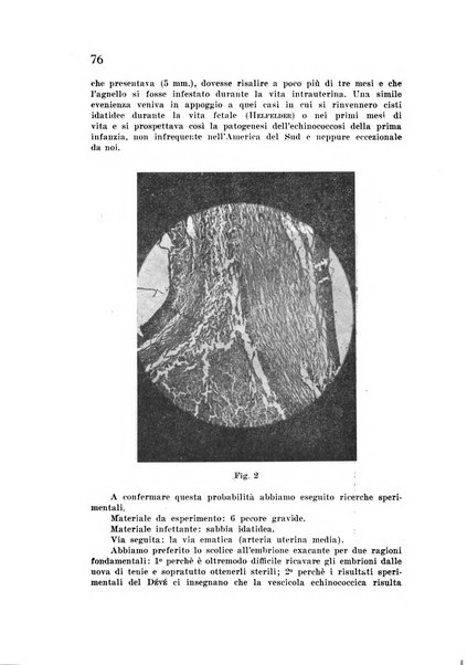 Studi sassaresi