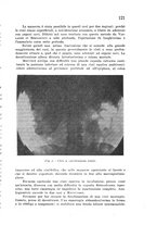 giornale/CFI0388512/1939/unico/00000135