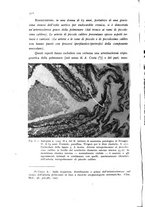 giornale/CFI0388512/1940/unico/00000366