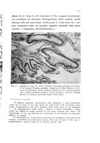 giornale/CFI0388512/1940/unico/00000369