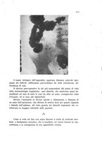 giornale/CFI0388512/1940/unico/00000433