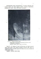 giornale/CFI0388512/1941/unico/00000019