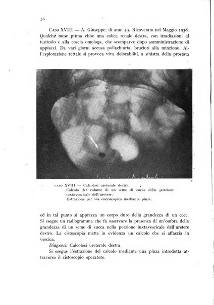 Studi sassaresi