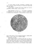 giornale/CFI0388512/1941/unico/00000354