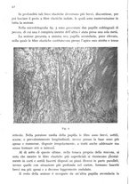 giornale/CFI0388512/1943/unico/00000046