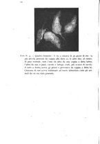 giornale/CFI0388512/1944/unico/00000098